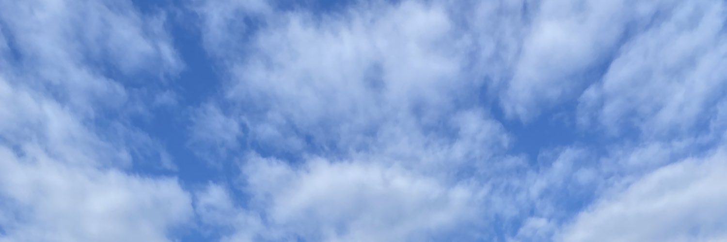 pritilseroa's profile banner image