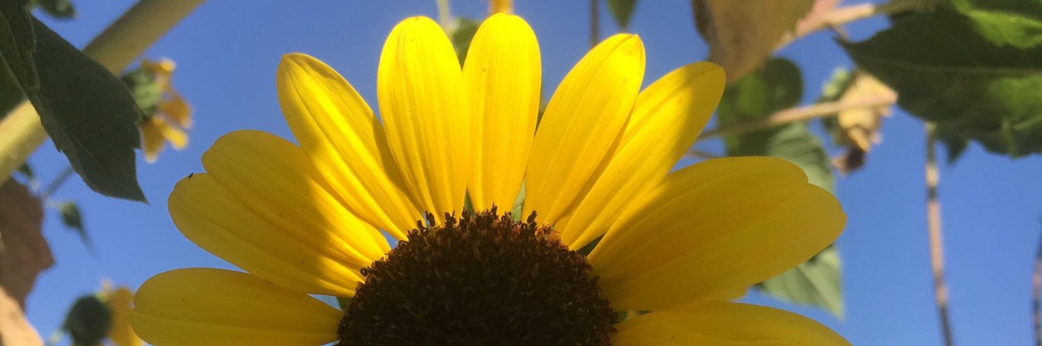 MyNameisJSmoof's profile banner image