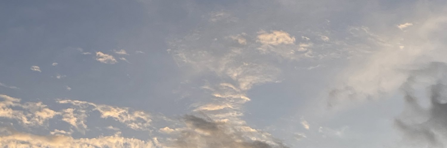 redtiredpanda's profile banner image
