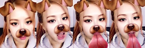 HG_ROSE97's profile banner image