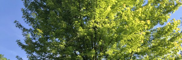 MRBellLab Profile Banner