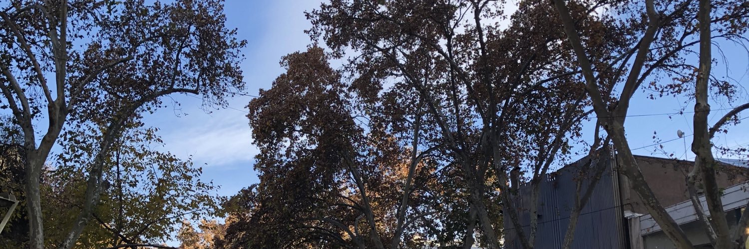 CamilaF27a's profile banner image