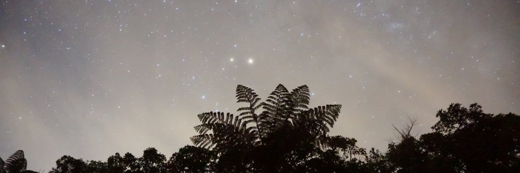 gretch_golden's profile banner image