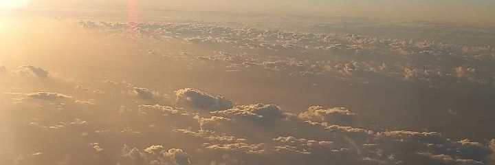 Ravena_Lamblet's profile banner image