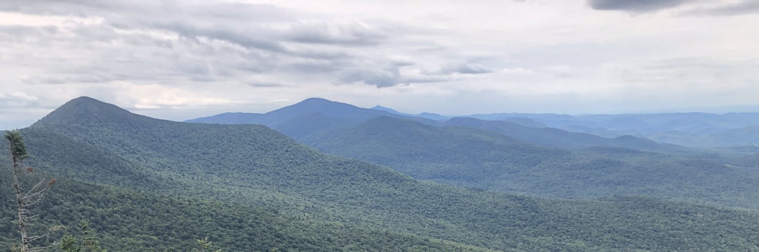 Lindsey Thomas banner