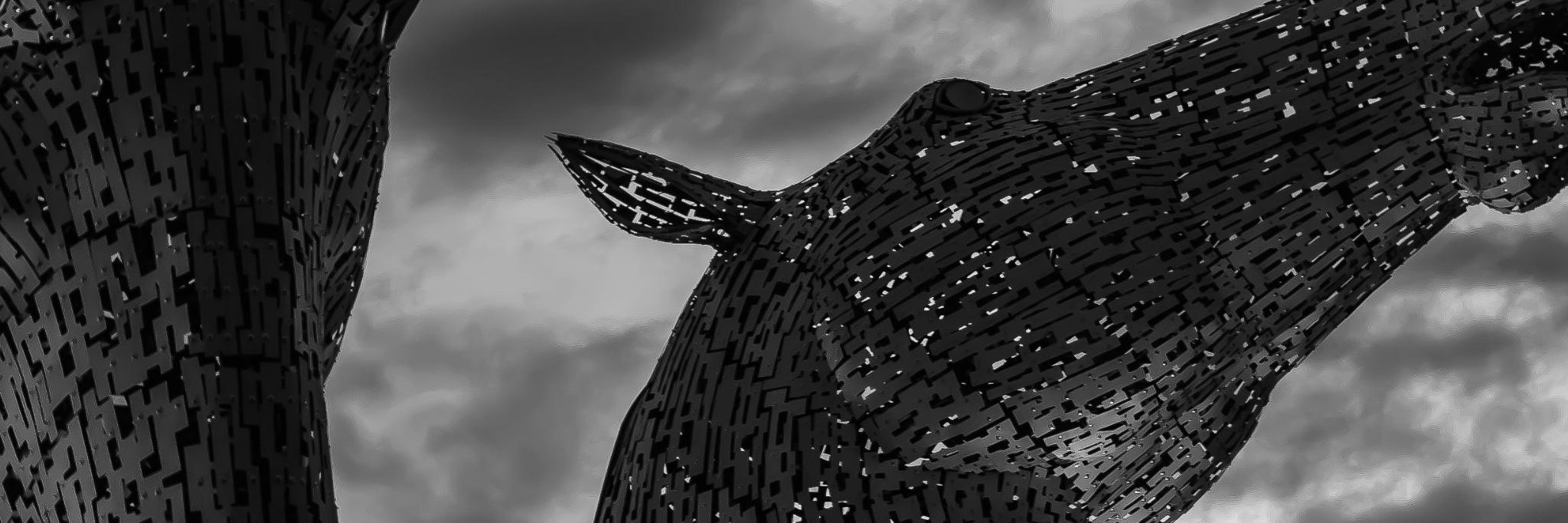 Michael McDougall banner