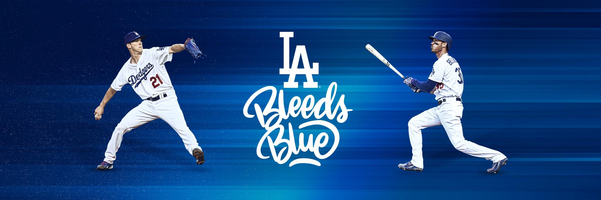 Dodgers Player Development banner