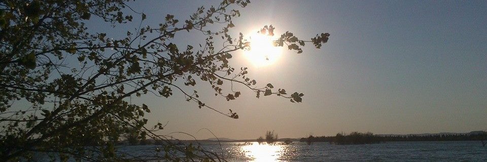 Lourdes Sánchez banner