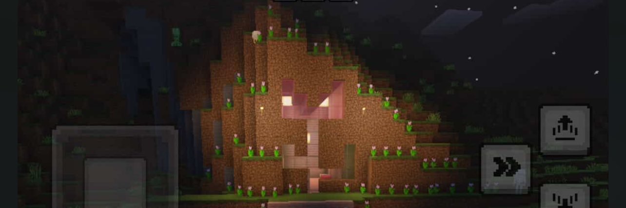 py banner
