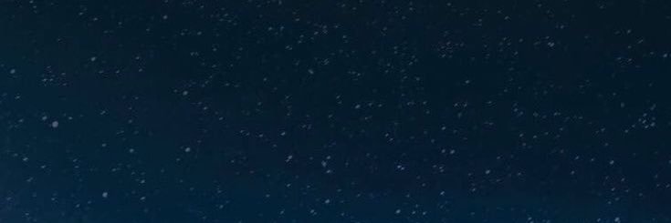 🦖 banner
