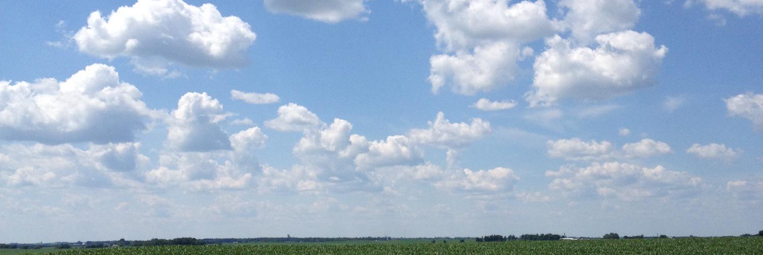 TeaFPea's profile banner image