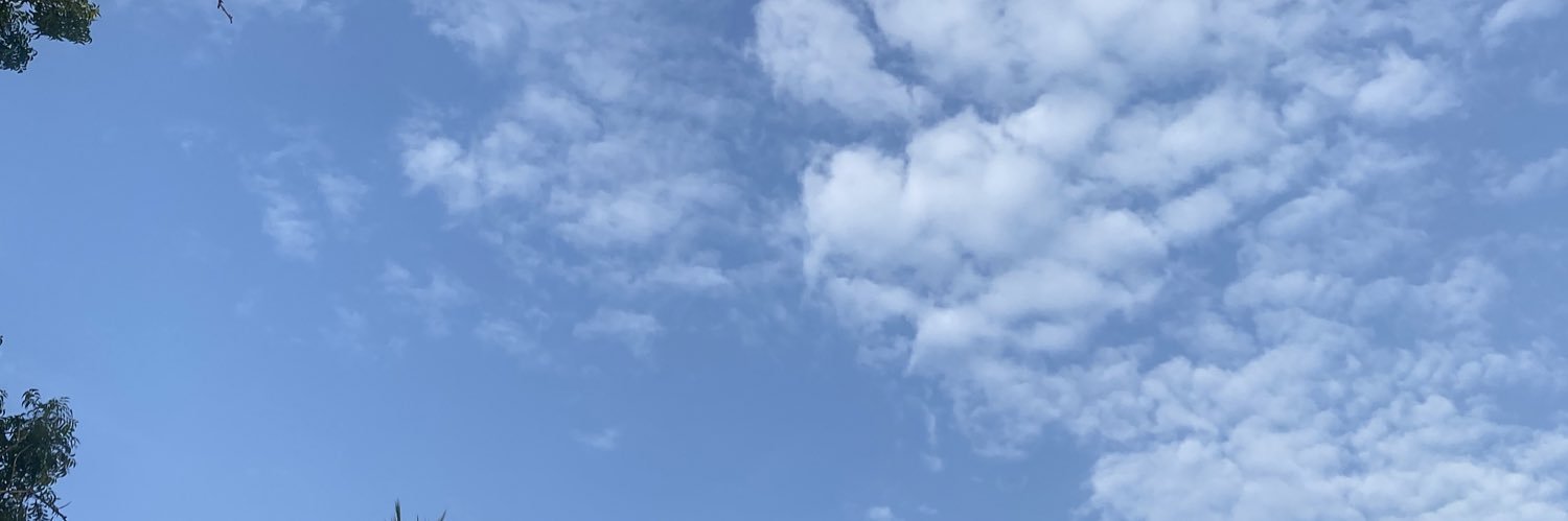 thennagam133's profile banner image