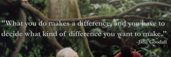 mrs_eebarnes Profile Banner