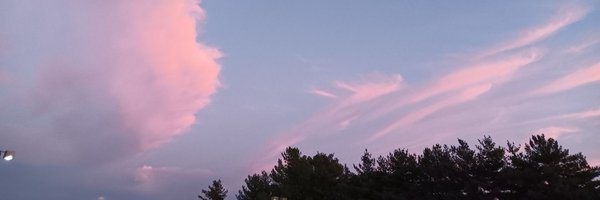 SchwarzSSBM Profile Banner