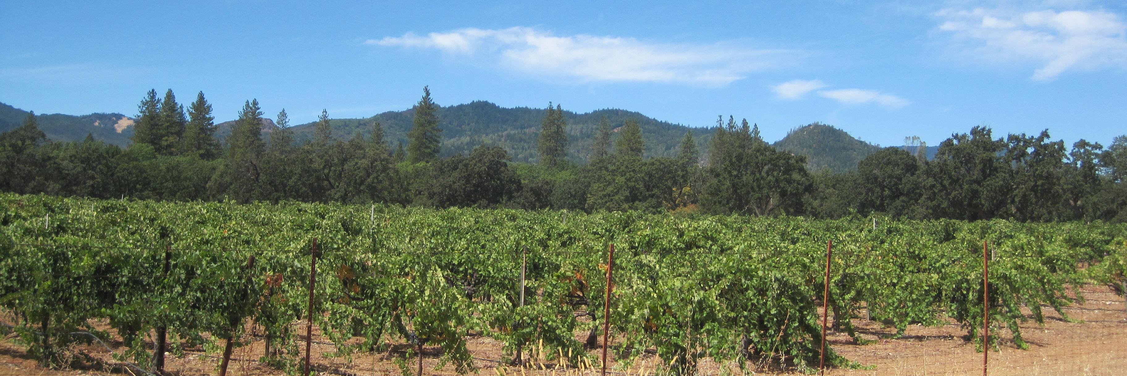 Walkabout14806's profile banner image