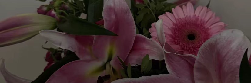 T banner