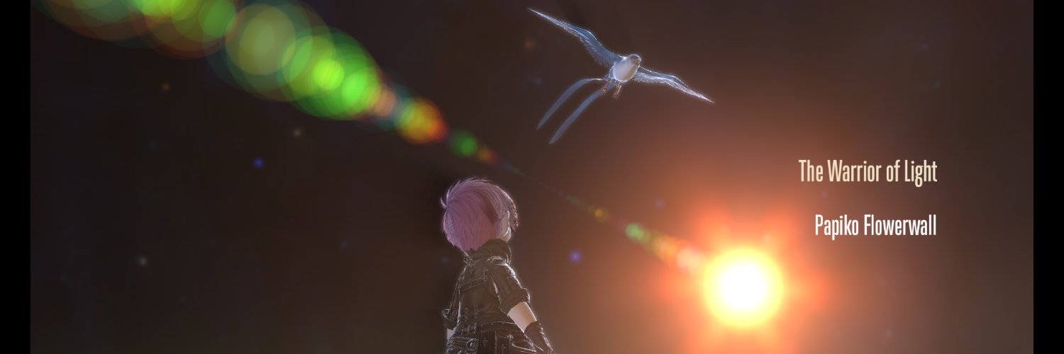 Vivi@Ifrit(ぱぴ子) banner