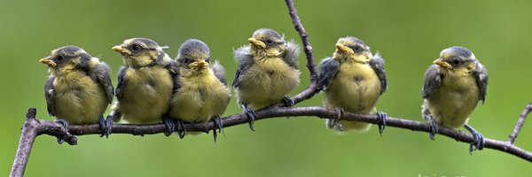 nakabon33 Profile Banner