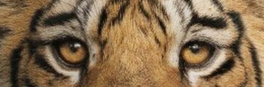 Kanwardeep singh banner