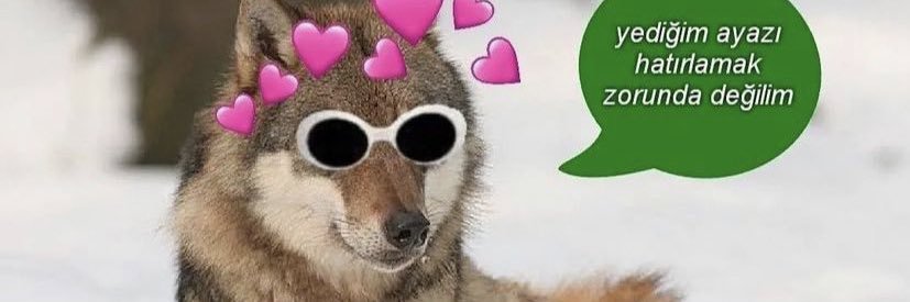 becauseiamberke's profile banner image