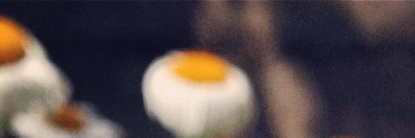 swpcy's profile banner image