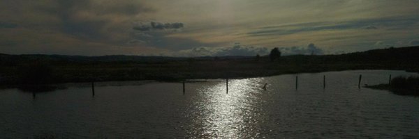 codelerity Profile Banner