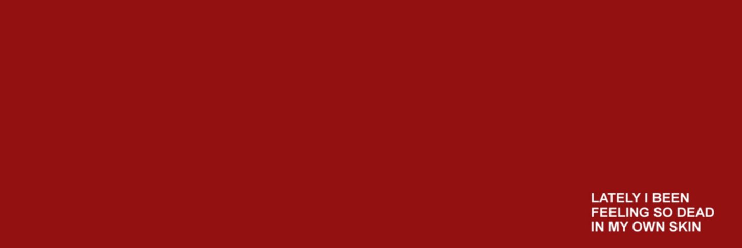 DINO banner