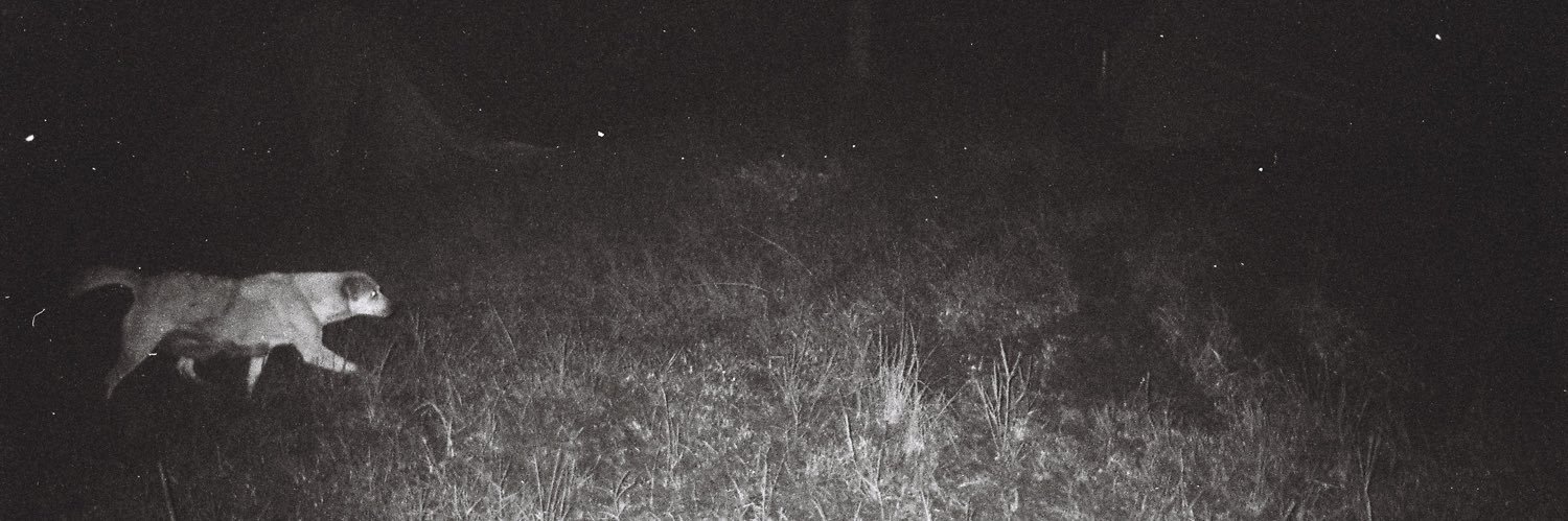 richardobintang's profile banner image