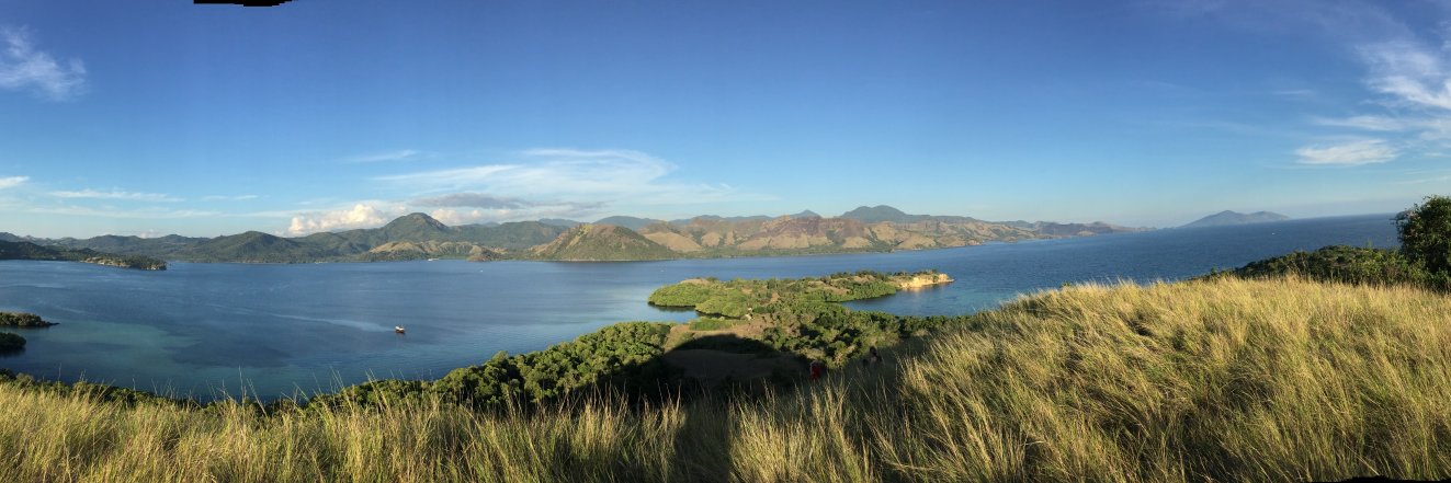 Dr Caroline Dingle banner