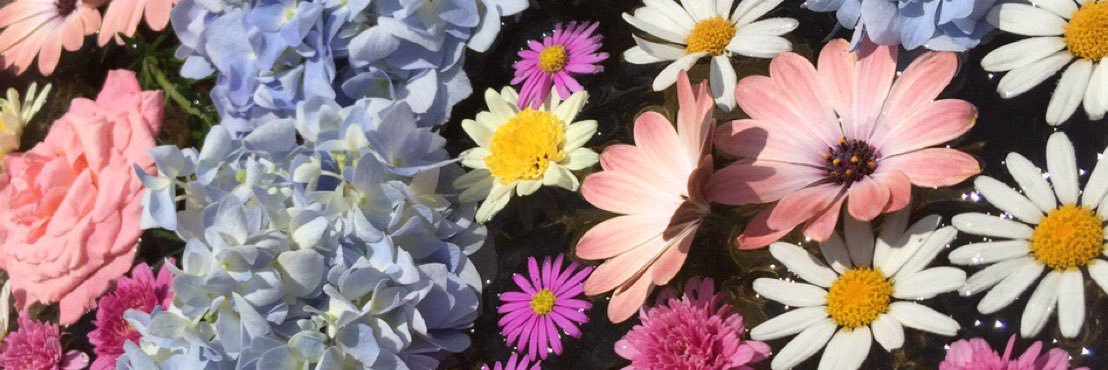 aromagarden's profile banner image