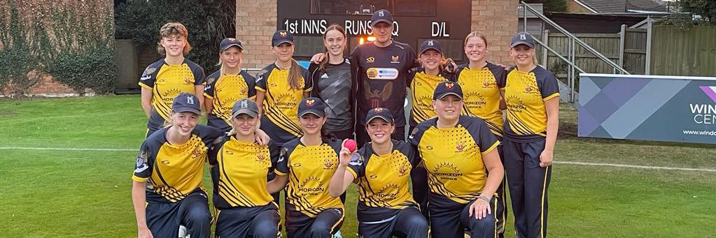 Walmley CC Ladies banner