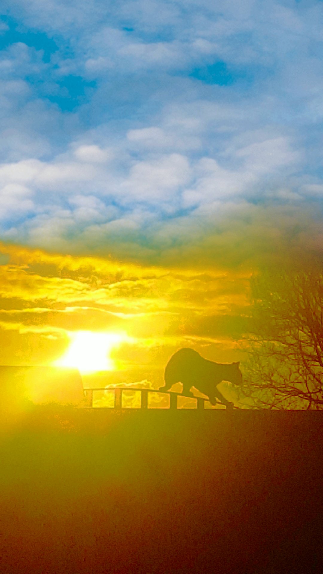AndyBowsher1's profile banner image