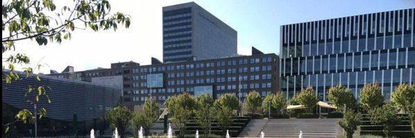 ErasmusSCBH Profile Banner