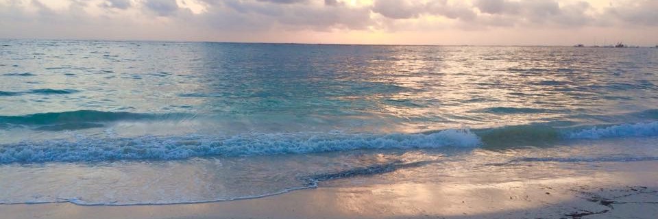 Ovini Rodrigo, MD MSEd MPH MS banner