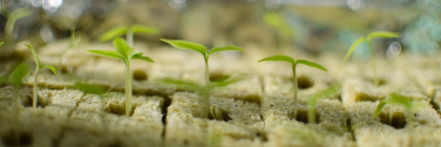 Chris Meardon banner