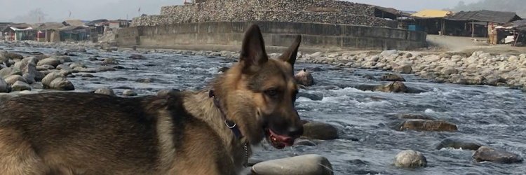 cstiwari's profile banner image