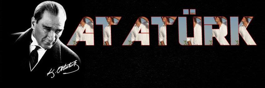 BIDIK71's profile banner image