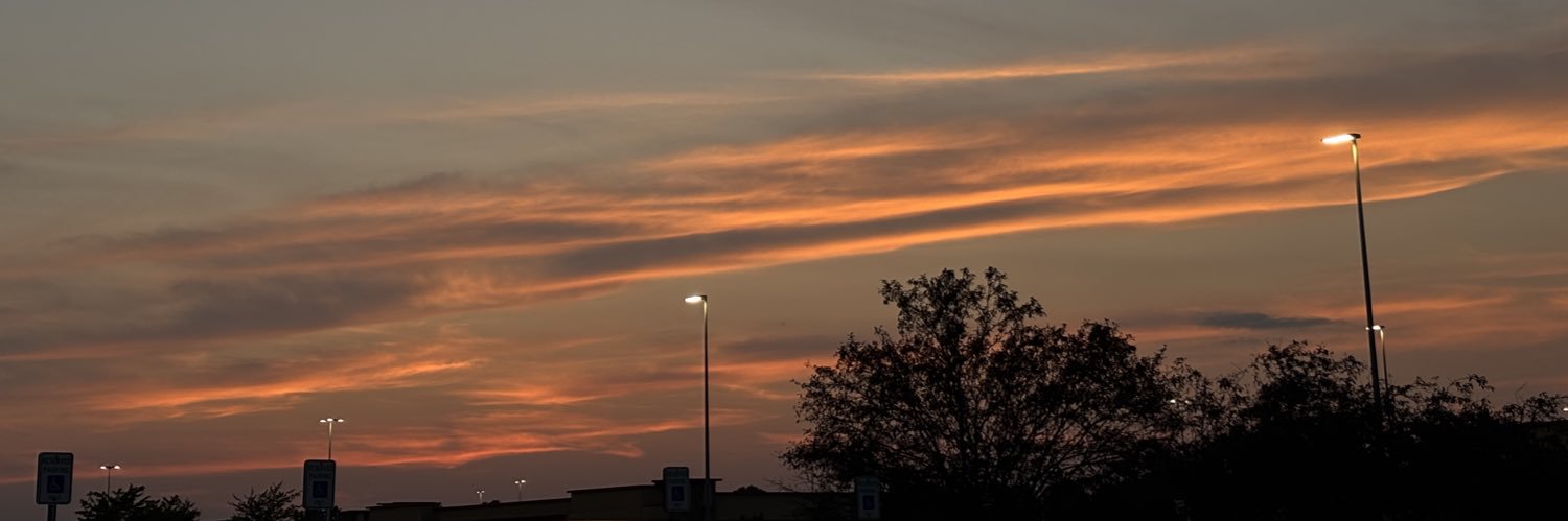 honkbrookk's profile banner image