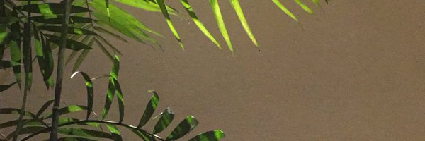 customerpath5a Profile Banner