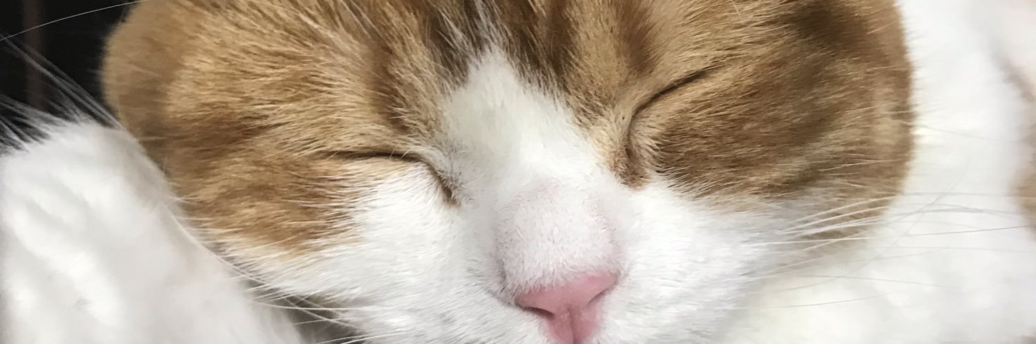 ejej999's profile banner image