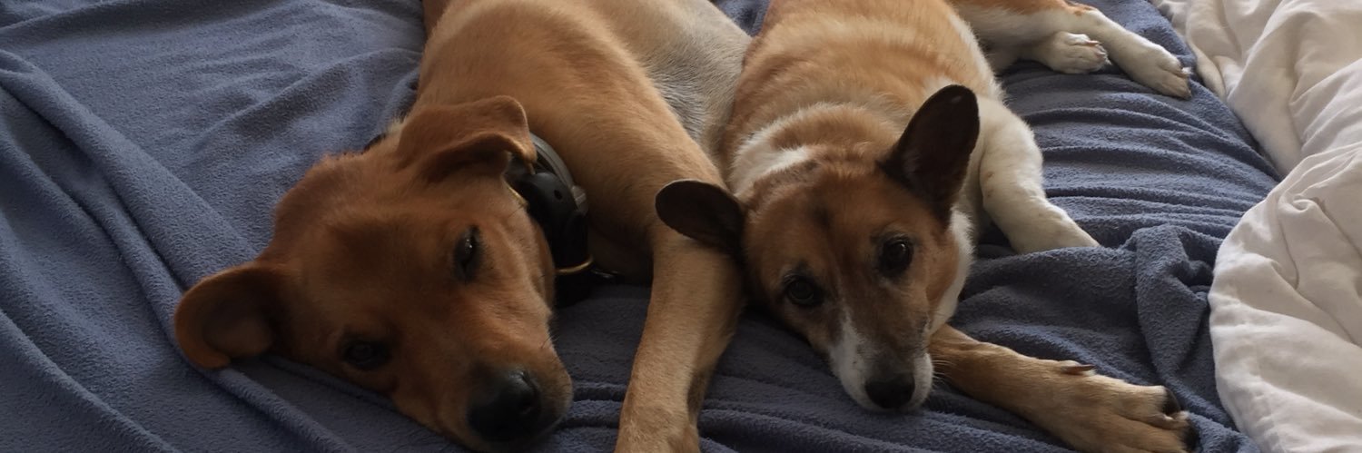 ralphnks's profile banner image
