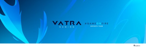 VatraGaming Profile Banner