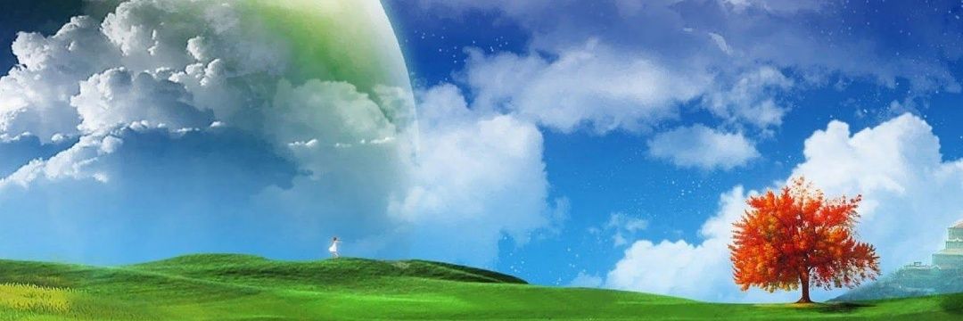 terzinja's profile banner image