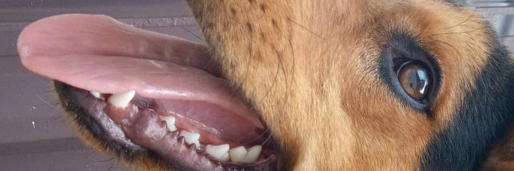 Beatriz8906's profile banner image
