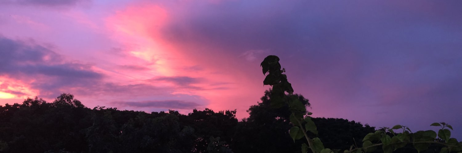 cecillesheynn's profile banner image