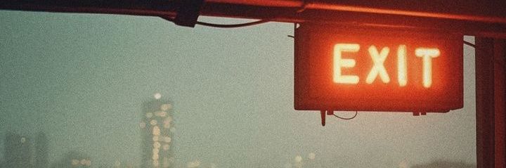 rogue banner