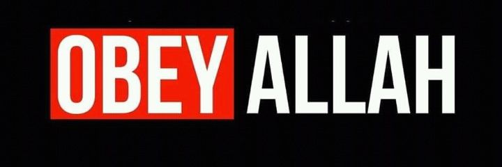 T.U.S.H banner