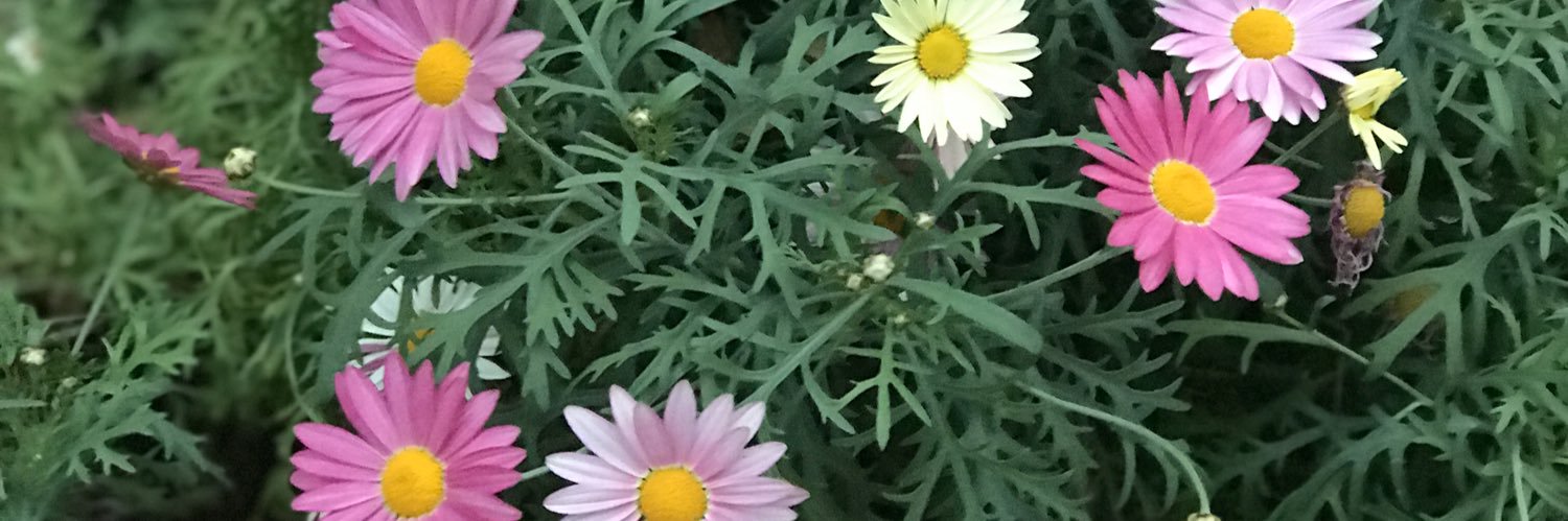 iamPRETTY_'s profile banner image