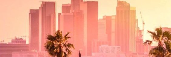 Cameron Fredman banner