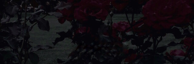 hctiwmi's profile banner image